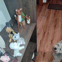 Mi Proyecto del curso: Needle felting: creación de personajes con lana y aguja. Character Design project by Pame Vps - 09.11.2020