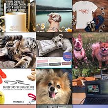 My project in Instagram Strategy for Business Growth course. Instagram Marketing project by Aysha O’Brien - 08.30.2020