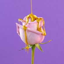 Funtastic Spring!. Creativit, Video Editing, Portrait Photograph, Instagram Photograph, Commercial Photograph & Instagram project by Låpsüs | Contenido Visual - 02.20.2020