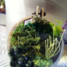 Microcosmos 1. Embroider project by helenavazquezgarcia - 08.31.2020