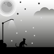 Black Cat. Un proyecto de Dibujo, Dibujo digital, Diseño digital, Diseño gráfico, Ilustración tradicional, Ilustración digital e Ilustración vectorial de Vivian Machinievski - 17.02.2020