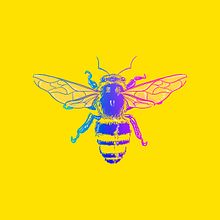 Podcast Bobagens Imperdíveis. Un proyecto de Escritura y Música de Aline Valek - 23.04.2019