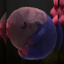 Pokemon's in 3D. Projekt z dziedziny 3D, Projektowanie postaci 3D, Trad, c, jna ilustracja i  Modelowanie 3D użytkownika Anthony Nuñez Goncalves - 31.08.2020