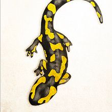 Salamandra salamandra . Desenho e Ilustração tradicional projeto de Adrian Yugo - 01.09.2020