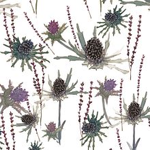 Prickely Beauty. Botanical Illustration, Interior Architecture, Packaging, and Watercolor Painting project by miruna.patrascu - 09.01.2020