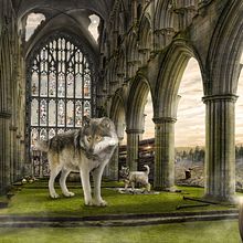 Mi Proyecto del curso: Secretos del fotomontaje y el retoque creativo. Projekt z dziedziny  Kompoz, cja w fotografii, Fotomontaż i Postprodukcja fotograficzna użytkownika Andres Celi - 02.09.2020