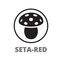 Seta Red: Magia y Negocios. Digital Marketing project by a20145415 - 09.07.2020