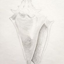 Shell. Un progetto di Disegno a matita e Disegno di Mel H - 02.09.2020