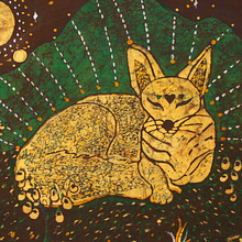 Mamíferos de Chile. Un proyecto de Ilustración tradicional y Teñido Textil de Ikaro Batik - 01.10.2020
