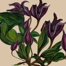 My project in Botanical Illustration with Watercolors course. Un proyecto de Pintura acrílica e Ilustración tradicional de Nathalie Steensels - 03.09.2020