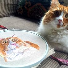 Mi primer Needle painting gatuno. Un progetto di Ricamo, Cucito e DIY di Vanesa Quintanar Olguin - 05.09.2020