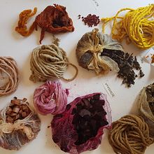 Descubriendo la Naturaleza. Projekt z dziedziny Craft użytkownika María Angélica Gastó Rosselot - 06.09.2020