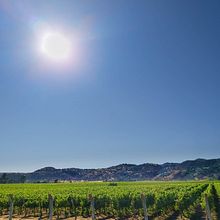 Paulo 09.2020. Paisagismo projeto de Paulo Barrios - 07.09.2020