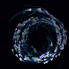 Maria Rosdevall -Mograph Designer y profesora de software 3D de Barcelona. Motion Graphics project by Maria Rosdevall - 09.07.2020