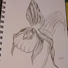 Mi Proyecto del curso: Cuadernos de dibujo: encuentra un lenguaje propio . Gambar Pensil proyek oleh Patricia Brandi - 09.08.2020