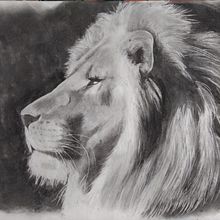 León. Un proyecto de Dibujo realista de paolaqsd - 10.01.2018