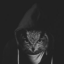 Owl . Un proyecto de Fotografía, Fotografía digital, Fotomontaje y Retoque fotográfico de SA CA - 07.09.2020