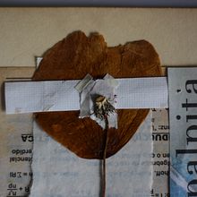 Técnicas de bordado experimental sobre papel. Bordado projeto de Maria Echeverri - 08.09.2020