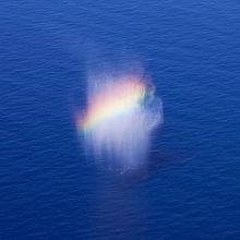 Blau. Un progetto di Fotografia, Fotografia artistica, Fotografia di ritratto e Fotografia all'aperto di Aina Zoilo - 08.09.2020