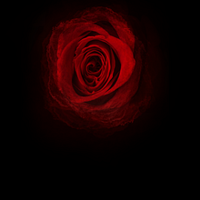 Concurso Narrativa Mujeres Artemis. Graphic Design project by Ernest Fernandez i Roig - 06.21.2020