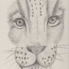 ANIMALES SALVAJES. Un proyecto de Dibujo a lápiz de Mar Tenor - 09.09.2020
