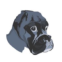 Dibujo Personalizado "SWEET Kira". Un progetto di Belle arti, Bozzetti, Creatività, Disegno, Disegno artistico, Disegno di ritratti, Disegno digitale, Disegno realistico, Design, Design digitale, Graphic design, Illustrazione tradizionale, Illustrazione digitale, Illustrazione vettoriale, Pittura e Pittura digitale di Eder Moreno Pérez - 09.09.2020