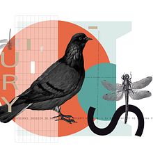 Mi Proyecto del curso: Collage digital para medios editoriales. FDO LUKE. Collage project by Fernando Luke - 09.10.2020