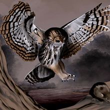 My final images and further experimentation with digital paintings of animals. Un progetto di Illustrazione tradizionale, Illustrazione digitale, Disegno realistico e Illustrazione naturalistica di Paolo Mongillo - 10.09.2020