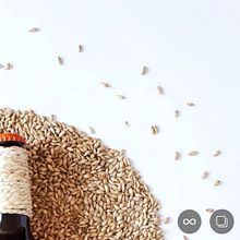 Mi Proyecto del curso: Fotografía profesional para Instagram. Projekt z dziedziny Fotografia na Instagram użytkownika ALHELI ROBLEDO SALAZAR - 11.09.2020