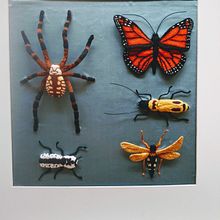 Insect Box 2. Un proyecto de Bordado de Amanda Hendrickson - 11.09.2020