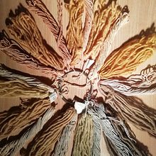 Mi Proyecto del curso: Teñido textil con pigmentos naturales Ein Projekt aus dem Bereich H, werk, DIY und Weben von martu_villalba - 07.08.2020