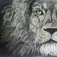 Lion graphite. Drawing, Fine Arts, Pencil Drawing, Portrait Drawing, and Realistic Drawing project by Sybel Oz - 09.12.2020