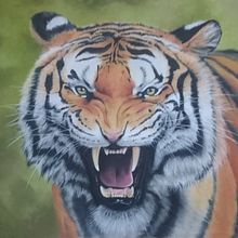 Dibujo de animales: pastel y lápices de colores. Een project van  Beeldende kunst,  Tekening, Realistische tekening y Schilderij van Ana Pagán Vicente - 12.09.2020