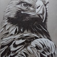 Animales en tinta. Een project van  Beeldende kunst,  Tekening,  Artistieke tekening, Realistische tekening, Traditionele illustratie,  Illustratie met inkt y Schilderij van Ana Pagán Vicente - 12.09.2020