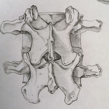 Exploración Osea de la Columna Lumbar  . Gambar Gambar proyek oleh Paula Tellez - 05.13.2019