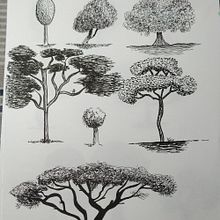 Mi Proyecto del curso: Dibujo para principiantes nivel -1. Drawing project by joan piquer montón - 09.13.2020