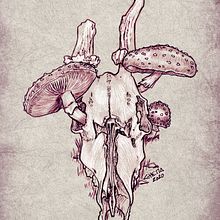 Botanical illustrations #3. Un proyecto de Ilustración tradicional de Chema G. Baena Art - 13.09.2020