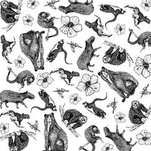 Textil Fauna de Colombia para Talismanario. Traditional illustration project by LiNa VeLez - 09.14.2018