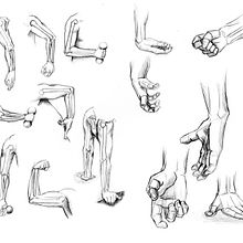 Recopilación de anatomía humana Jacobo. Traditional illustration project by Jacobo Ospina Rojas - 09.17.2020
