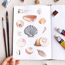 Conchas - estudo em aquarela (2020). Un progetto di Illustrazione tradizionale, Illustrazione con inchiostro, Pittura e Pittura ad acquerello di Franncine de Miranda (Estúdio Luares) - 16.09.2020