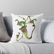 My nepenthes. Botanical Illustration project by Raffaella Fiore - 09.17.2020