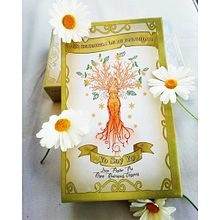 Biotikún Tarot Cards Sample. Creativit, Traditional illustration, and Digital Illustration project by Ivet Macias Bugarin - 09.17.2020