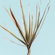 Tema Variados. Un progetto di Fotografia per Instagram di Marta Cristina Pedraza - 17.09.2020