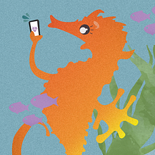 Ilustración Editorial: Instagram. Projekt z dziedziny Ilustracja c, frowa i Grafika wektorowa użytkownika Esteban González Rey - 19.09.2020