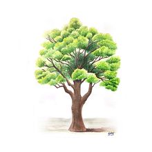 Tree puzzle. Un proyecto de Artesanía de Fish YoYo - 01.09.2019