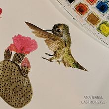 Mi Proyecto del curso: Ilustración naturalista de aves con acuarela. Watercolor Painting project by Ana Isabel Castro - 09.20.2020