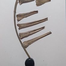 Mi Proyecto del curso: Las leyes de la percepción visual: unidad, peso, equilibrio y movimiento . % Adriana Serafini tarafından hazırlanan Güzel sanatlar projesi - 09.20.2020