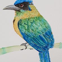 Mi Proyecto del curso: Ilustración naturalista de aves con acuarela. Un proyecto de Dibujo realista de margarita_varon - 20.09.2020