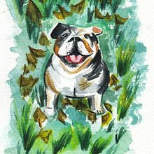 Retratos de mascotas. Projekt z dziedziny Craft,  Sztuki piękne, Trad, c, jna ilustracja i Malowanie akwarelą użytkownika Isi Cano - 20.05.2020