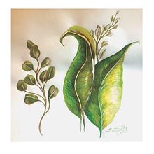 Mi Proyecto del curso: Acuarela botánica para estampados. Een project van  Tekening van Beatrix Prieto - 25.09.2020
